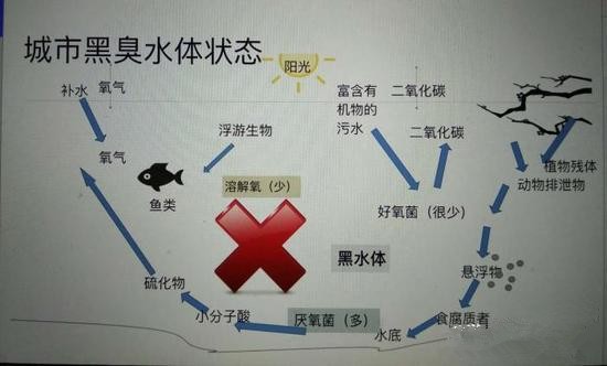 江蘇億元投資治污新技術(shù) 石墨烯能否治理黑臭水體？