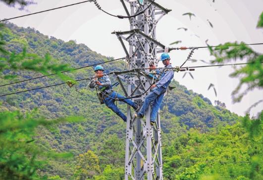 廣東電網(wǎng)肇慶供電局對159條故障高發(fā)線路開展全面改造升級專項(xiàng)行動(dòng)