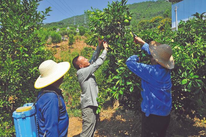 王國洲：把村事當家事，把村民當親人