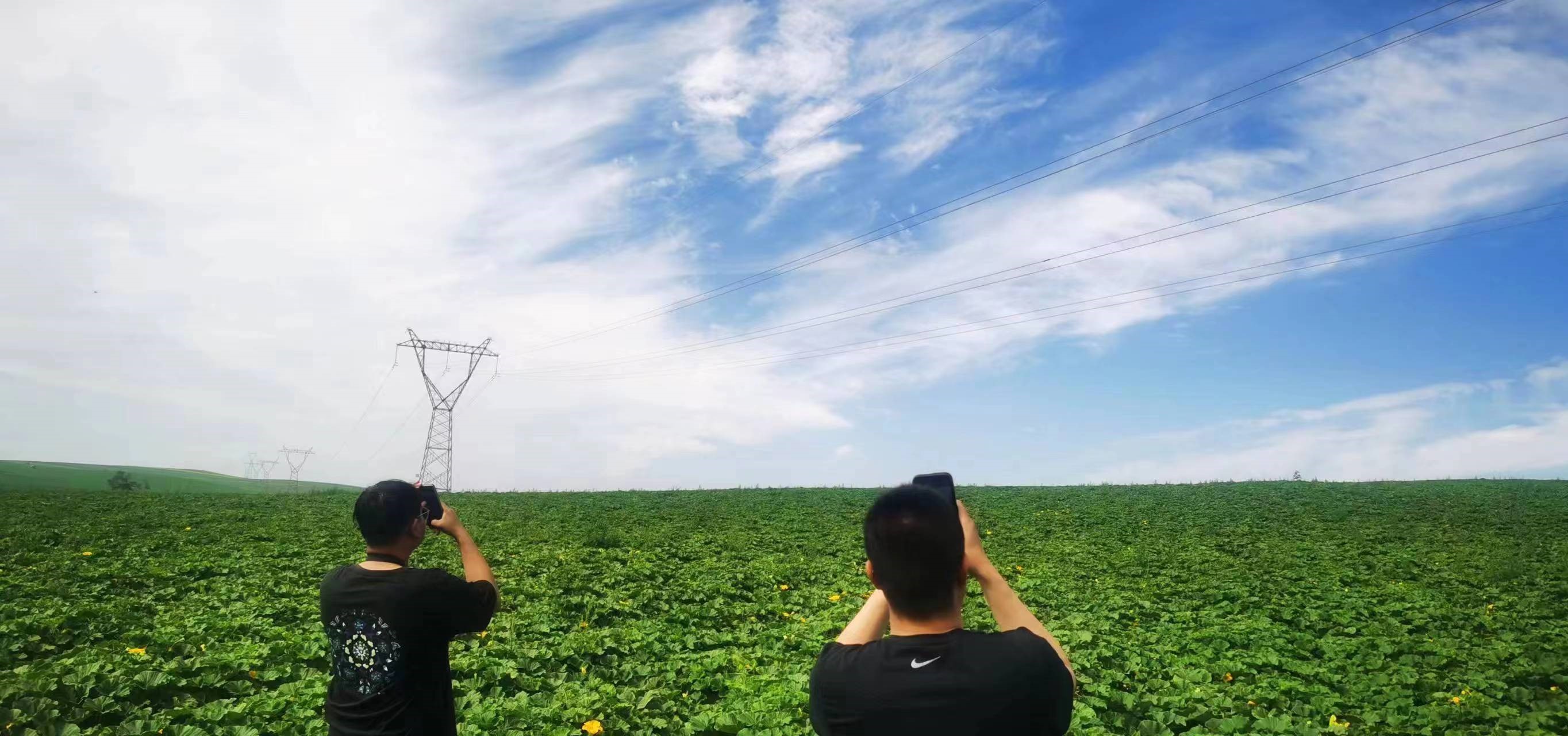 四子王輸變電管理處：防外力破壞，助安全運(yùn)行