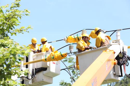 國網壽寧縣供電公司“雙車共舞”聯(lián)合帶電作業(yè)保障客戶用電