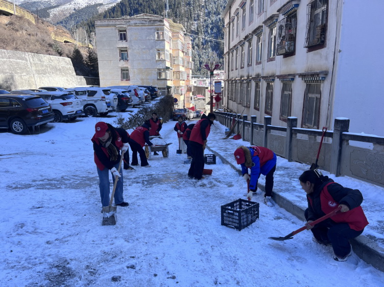 挺膺擔當志愿服務，清冰除雪保障安全